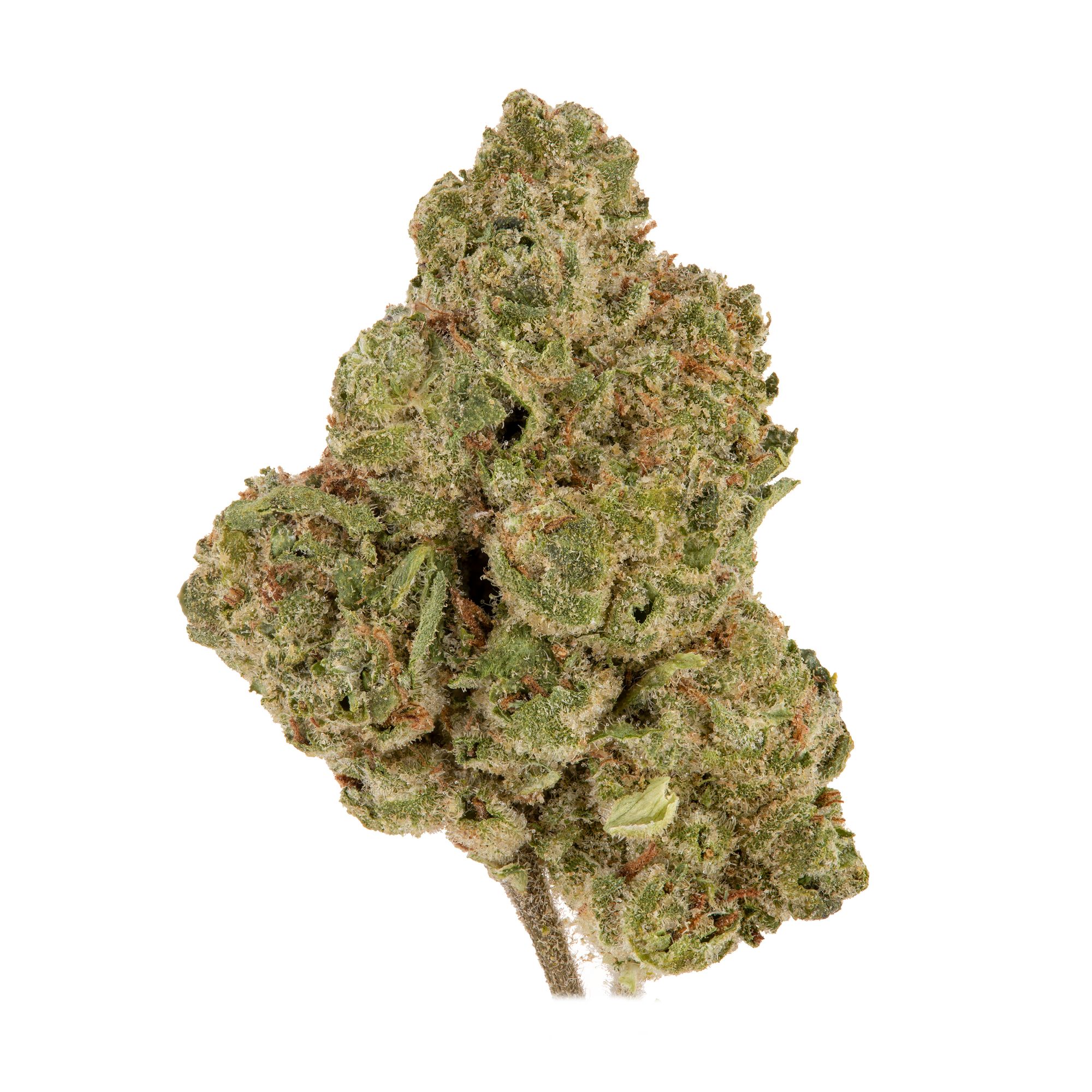 Banana Jelly Eighth by Coastal Sun Grassdoor